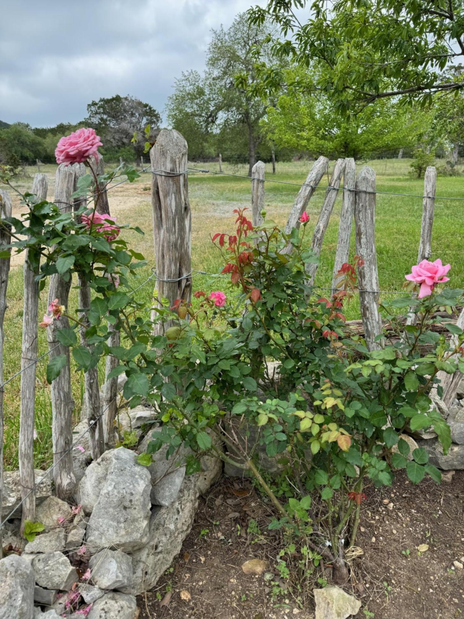 Last Outpost - Sophie'S Cottage Medina Exterior foto